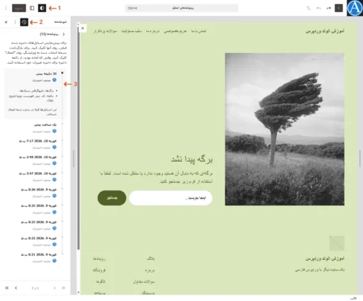بخش رونوشت‌ها در ویرایشگر سایت وردپرس هنگامی که قالب 404 باز شده