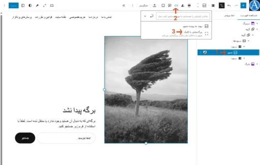 مسیر افزودن قابلیت بزرگنمایی تصویر در ویرایشگر سایت وردپرس